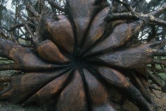 Tatton Park